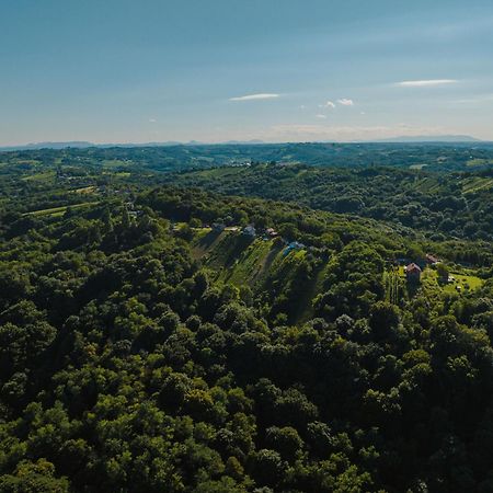 Holiday Home Wine & Relax Sveti Martin Na Muri Gornji Koncovcak Luaran gambar