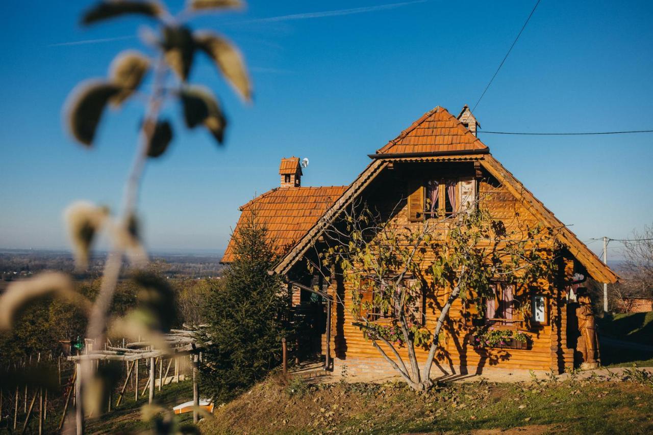 Holiday Home Wine & Relax Sveti Martin Na Muri Gornji Koncovcak Luaran gambar