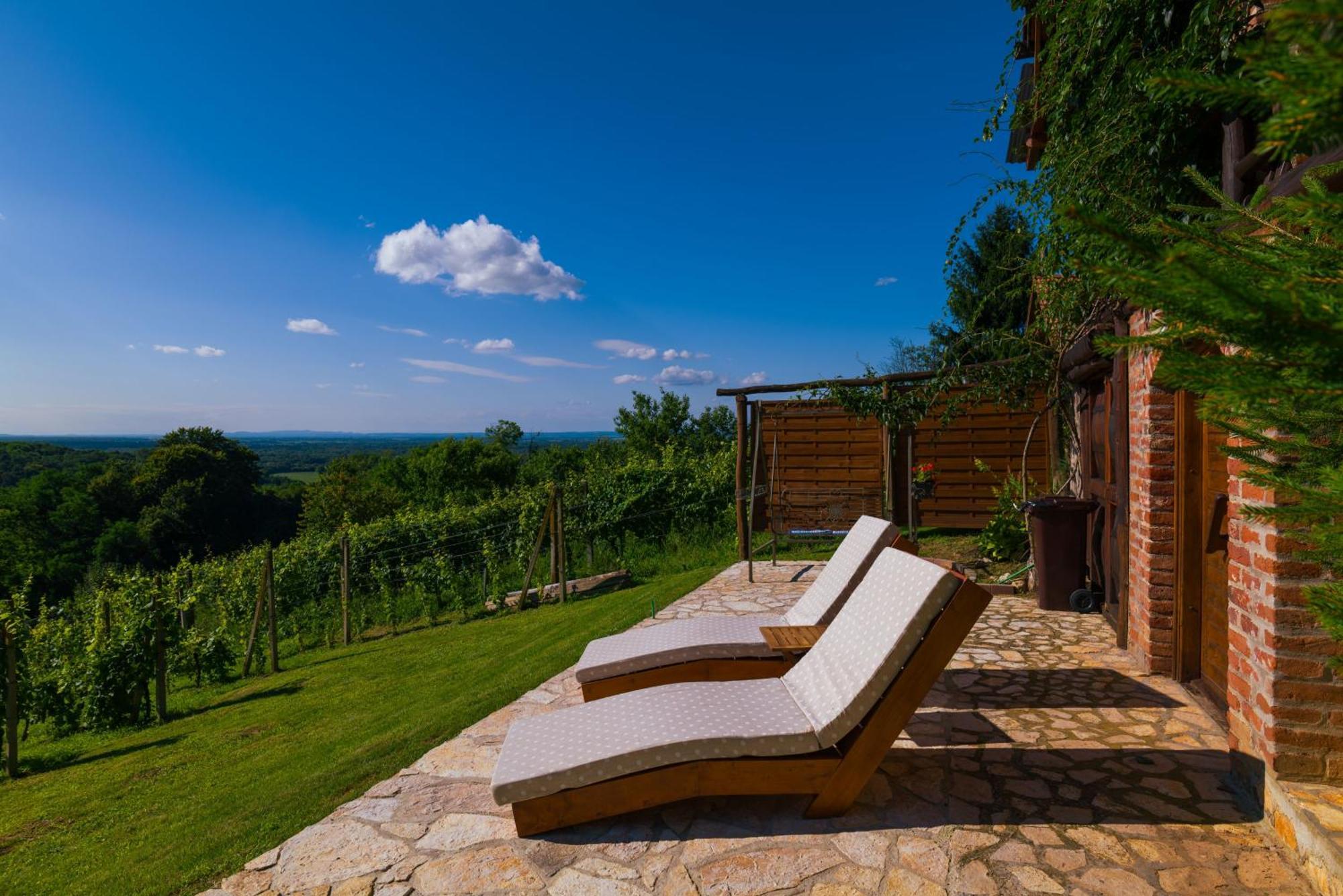 Holiday Home Wine & Relax Sveti Martin Na Muri Gornji Koncovcak Luaran gambar