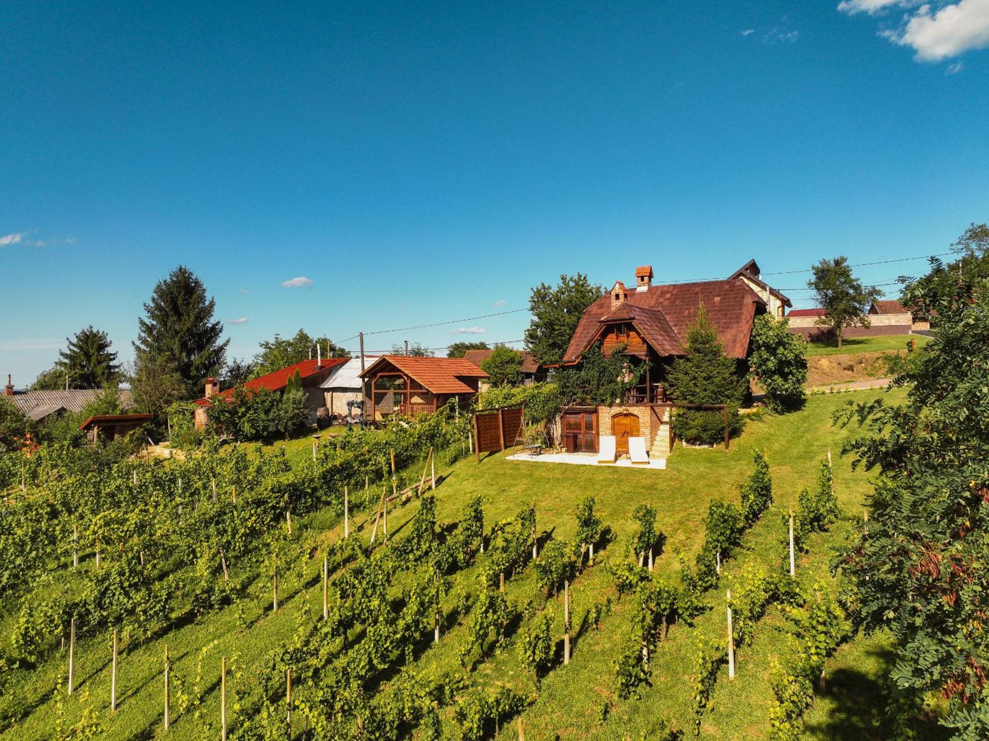 Holiday Home Wine & Relax Sveti Martin Na Muri Gornji Koncovcak Luaran gambar