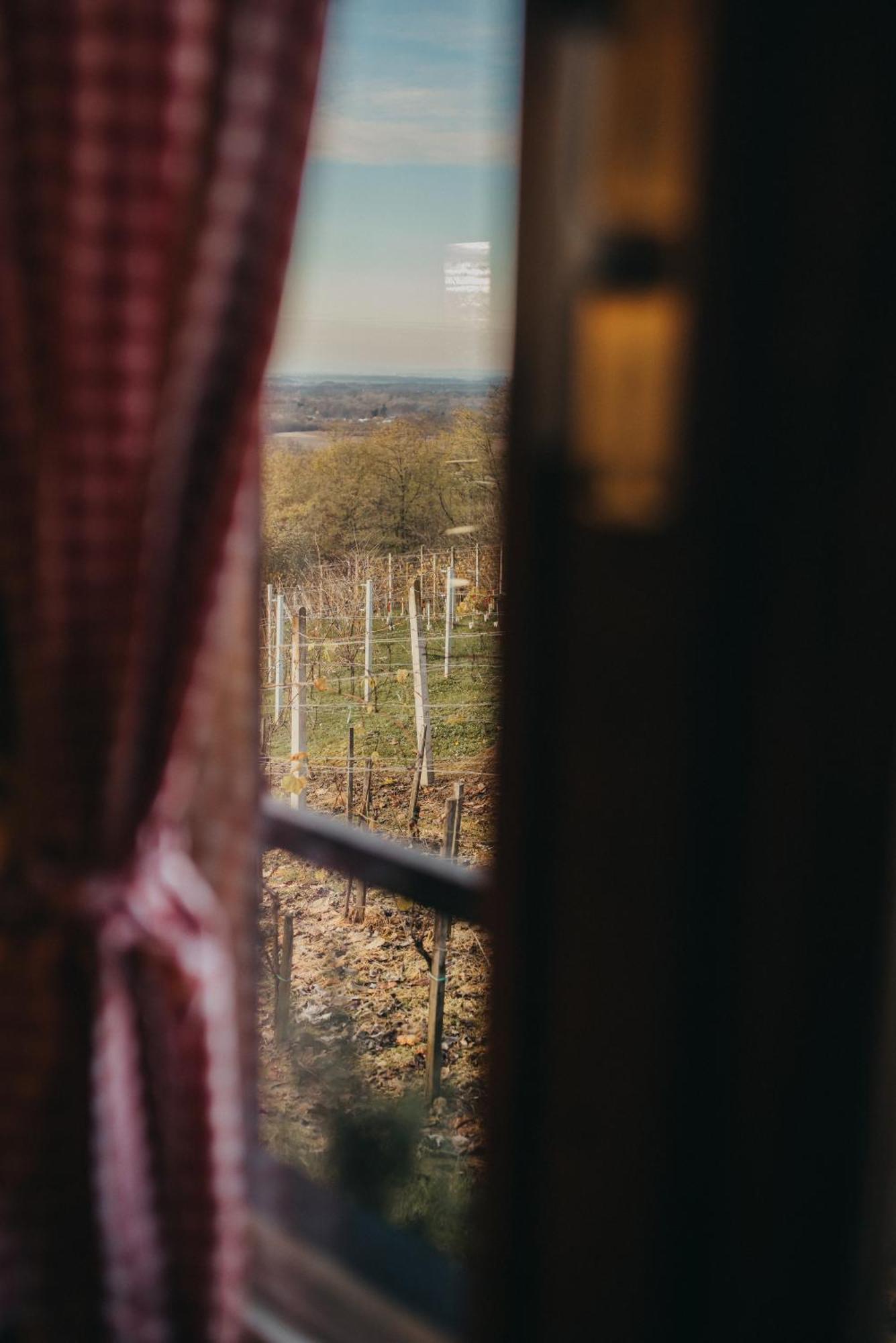 Holiday Home Wine & Relax Sveti Martin Na Muri Gornji Koncovcak Luaran gambar