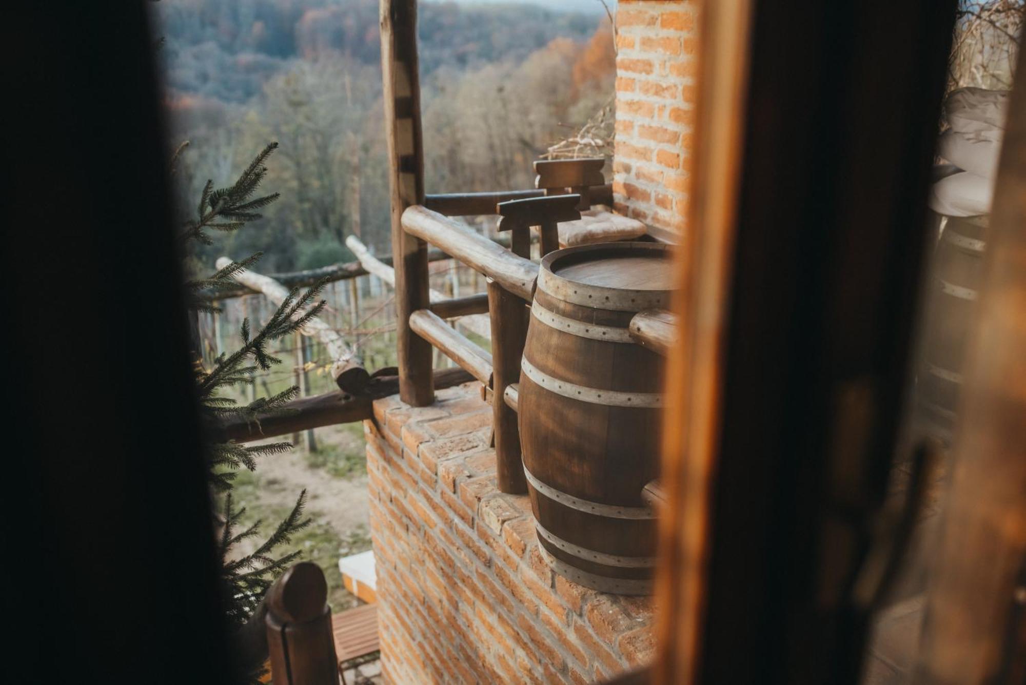 Holiday Home Wine & Relax Sveti Martin Na Muri Gornji Koncovcak Luaran gambar